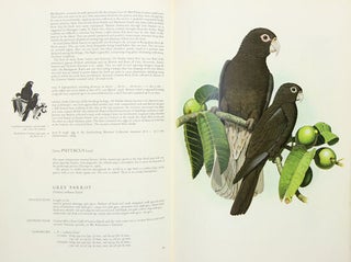 Parrots of the world.