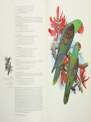 Parrots of the world.