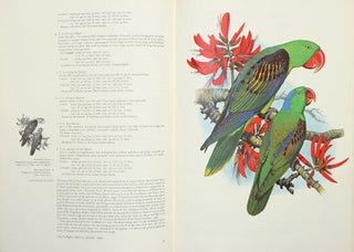 Parrots of the world.