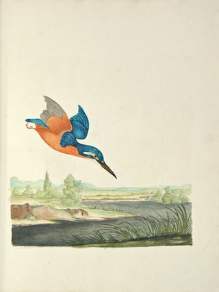 A natural history of British birds.