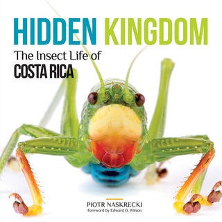 Stock ID 40225 Hidden kingdom: the insect life of Costa Rica. Piotr Naskrecki, Edward O. Wilson