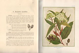 A research on the eucalypts especially in regard to their essential oils.