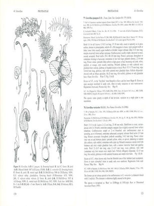 Flora of Australia, volumes 17A, Proteaceae [part two]: Grevillea [and] 17B, Proteaceae [part three]: Hakea to Dryandra.