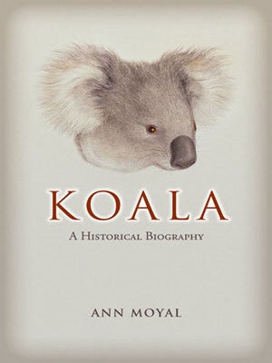 Stock ID 40505 Koala: a historical biography. Ann Moyal