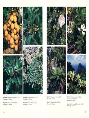 Flora of Australia, volumes 49 and 50. Oceanic islands [part one and two].