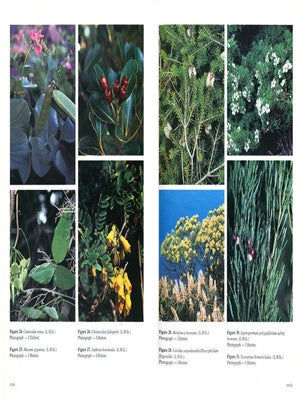 Flora of Australia, volumes 49 and 50. Oceanic islands [part one and two].