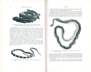 A descriptive catalog of the reptiles of Utah.
