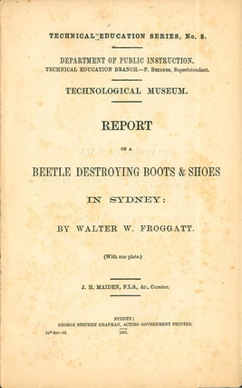 Stock ID 40547 Beetle destroying boots and shoes in Sydney. Walter W. Froggatt