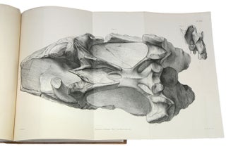 Descriptive and illustrated catalogue of the fossil Reptilia of South Africa in the collection of the British Museum.