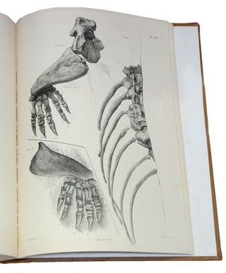 Descriptive and illustrated catalogue of the fossil Reptilia of South Africa in the collection of the British Museum.