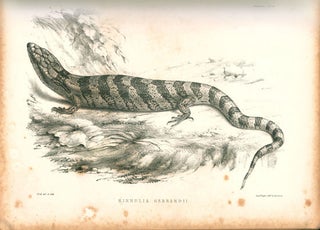 The lizards of Australia and New Zealand in the collection of the British Museum.