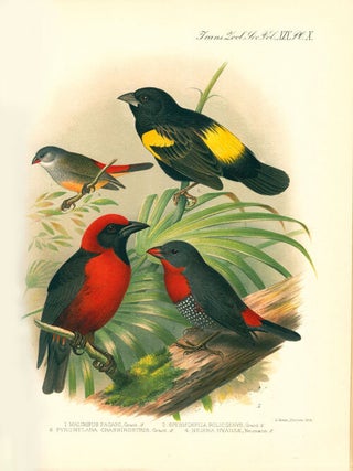 Zoological results of the Ruwenzori Expedition, 1905-1906.