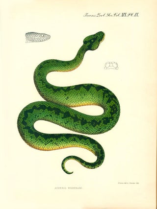 Zoological results of the Ruwenzori Expedition, 1905-1906.