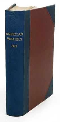 Stock ID 40840 American weasels. E. Raymond Hall