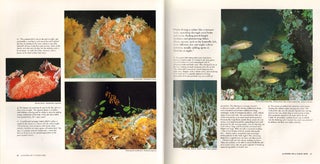 Reader's Digest book of the Great Barrier Reef.