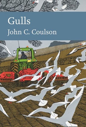 Stock ID 40965 Gulls. John C. Coulson