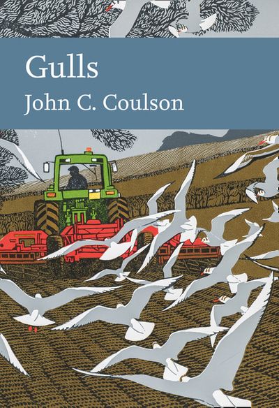 Stock ID 40965 Gulls. John C. Coulson.