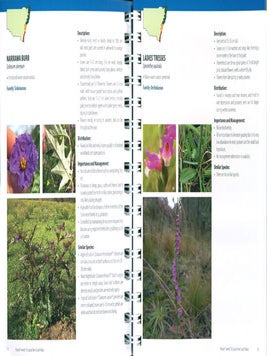 Pasture "weeds" of coastal NSW.