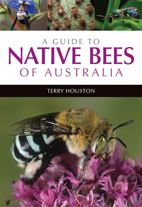 Stock ID 41030 A guide to native bees of Australia. Terry Houston.