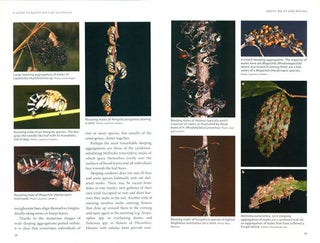 A guide to native bees of Australia.