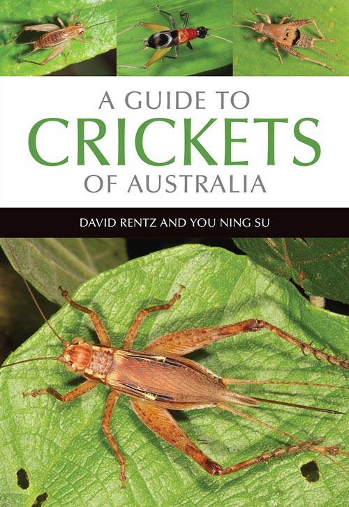 Stock ID 41031 A guide to crickets of Australia. David Rentz, You Ning Su.