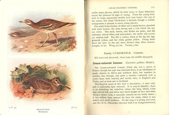 Stock ID 41045 The birds of the British Isles and their eggs, series one, two and three. T. A. Coward.