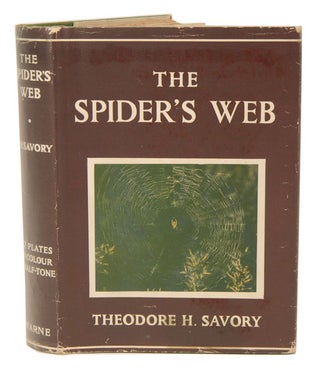 Stock ID 41047 The spider's web. Theodore H. Savory
