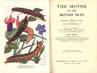 The moths of the British Isles.