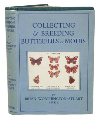 Stock ID 41053 Collecting and breeding butterflies and moths. Brian Worthington-Stuart