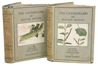 Stock ID 41055 The caterpillars of British moths, including the eggs, chrysalids and food-plants...