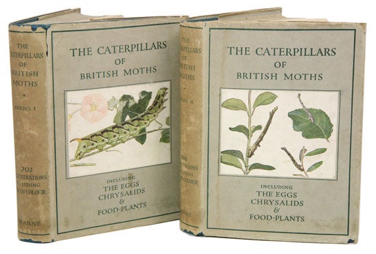Stock ID 41055 The caterpillars of British moths, including the eggs, chrysalids and food-plants [series one and two]. W Stokoe, J.