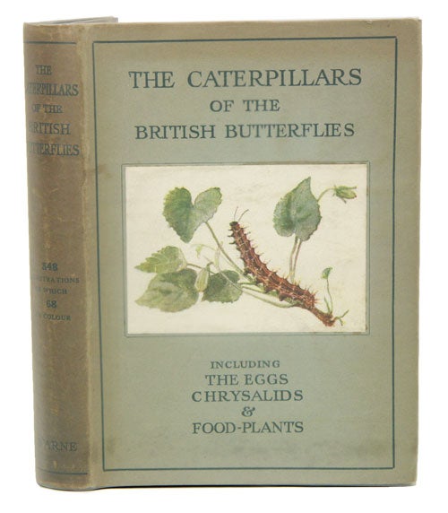 Stock ID 41056 The caterpillars of British butterflies, including the eggs, chrysalids and food-plants. W Stokoe, J.