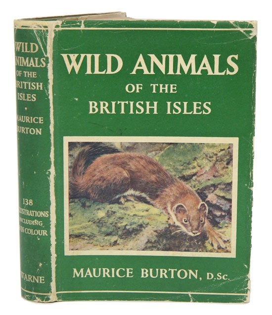 Stock ID 41061 Wild animals of the British Isles: a guide to the mammals, reptiles and batrachians of wayside and woodlands. Maurice Burton.