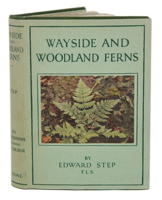 Stock ID 41065 Wayside and Woodland ferns: a guide to the British ferns, horsetails and...