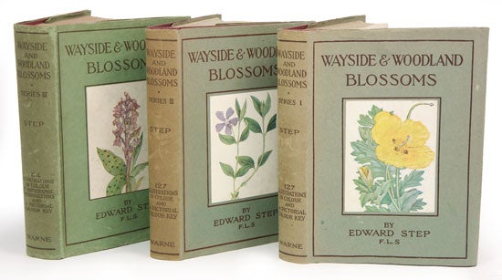Stock ID 41066 Wayside and Woodland blossoms: a guide to British wildflowers [series one, two and three]. Edward Step.