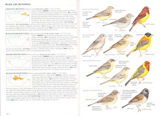 A field guide to the birds of Mongolia.