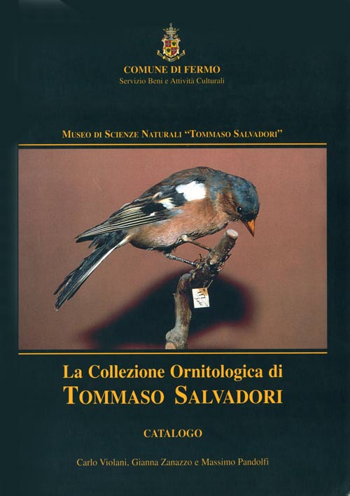 Stock ID 41094 La collezione ornitologica di Tommaso Salvadori. Carlo Violani.