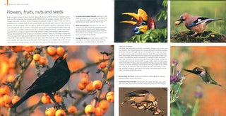 Birds: the Macmillan visual guide.
