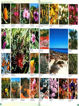 Guide to the wildflowers of Western Australia.