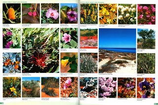 Guide to the wildflowers of Western Australia.