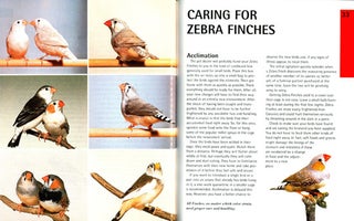 Zebra finches: everything about housing, care, nutrition, breeding, and health care.