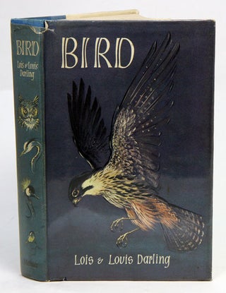 Stock ID 41134 Bird. Lois and Louis Darling