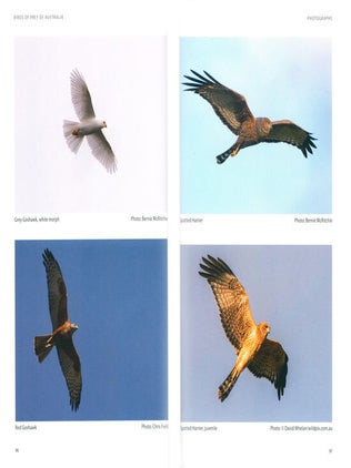 Birds of prey of Australia: a field guide.