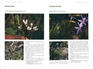 Plants of the Victorian High Country: a field guide for walkers.