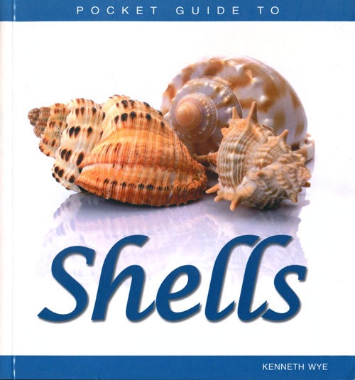 Stock ID 41182 Pocket guide to shells. Kenneth Wye.