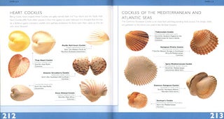 Pocket guide to shells.