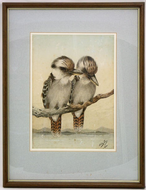 Stock ID 41200 Pair of Kookaburras. Neville H. P. Cayley.