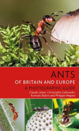 Stock ID 41221 Ants of Britain and Europe: a photographic guide. Claude Lebas
