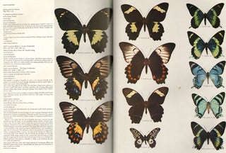 Butterflies of the Australian region.