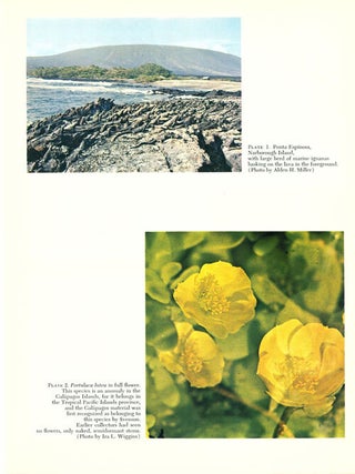 The Galapagos: proceedings of the symposia of the Galapagos international Project.